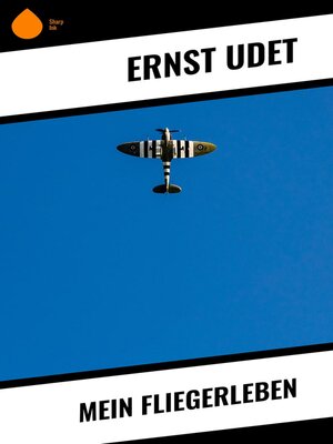 cover image of Mein Fliegerleben